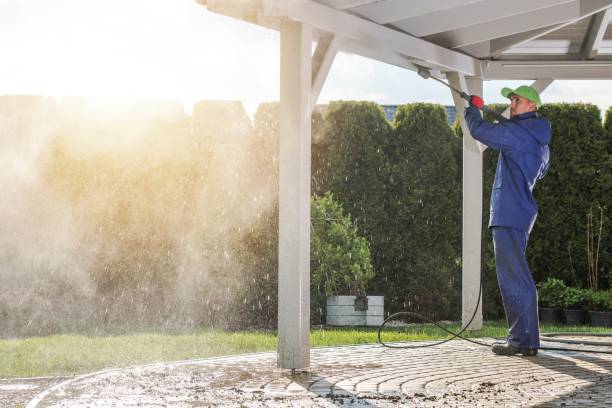 Animal Enclosure Cleaning in Hermitage, PA
